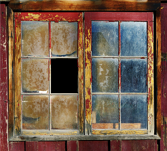 PVC will last for a lot of years and it will do so without the need for painting and maintenance.