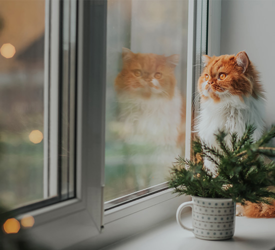 benefits of pvc windows and doors insulation sound and thermal malta upvc windows and doors